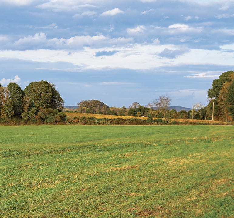 photo of land in Gaston County with a green field and trees under a cloudy blue sky
