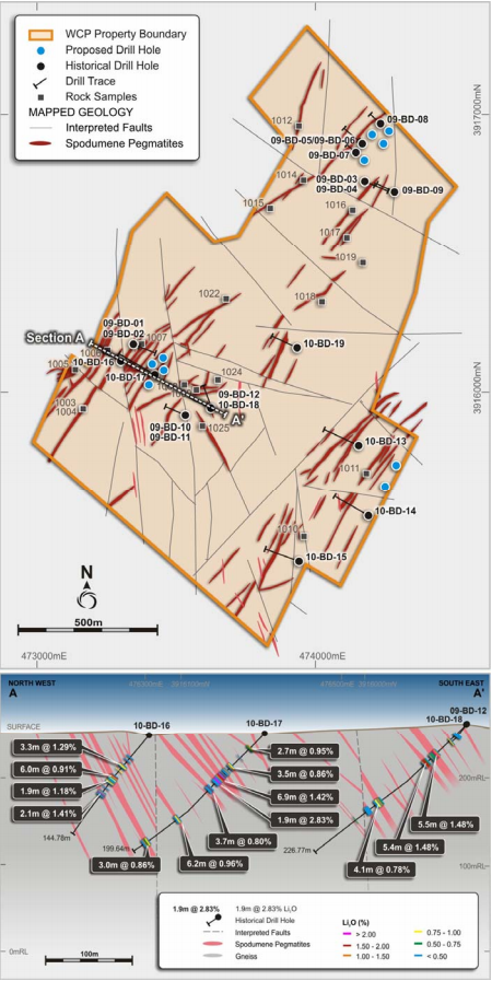 Project Area showing Mapped Spodumene Pegmatites, Drill Holes and Rock Sample Locations.